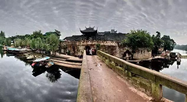 道奇蝰蛇找不同